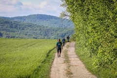 4-MMW-2019-VP3 und VP4-Fotos-117