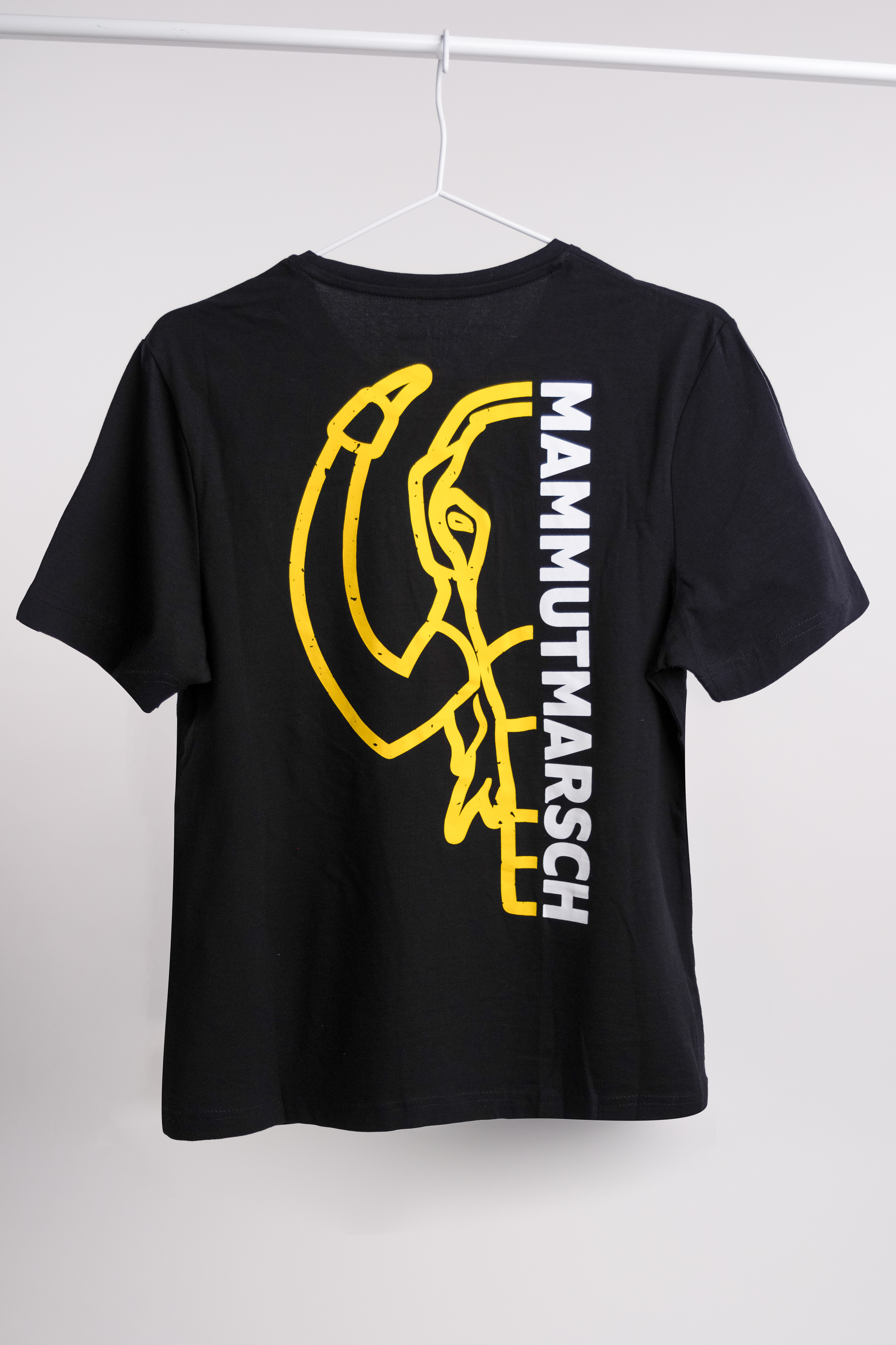 Mammutmarsch Fanbox – Bild 7