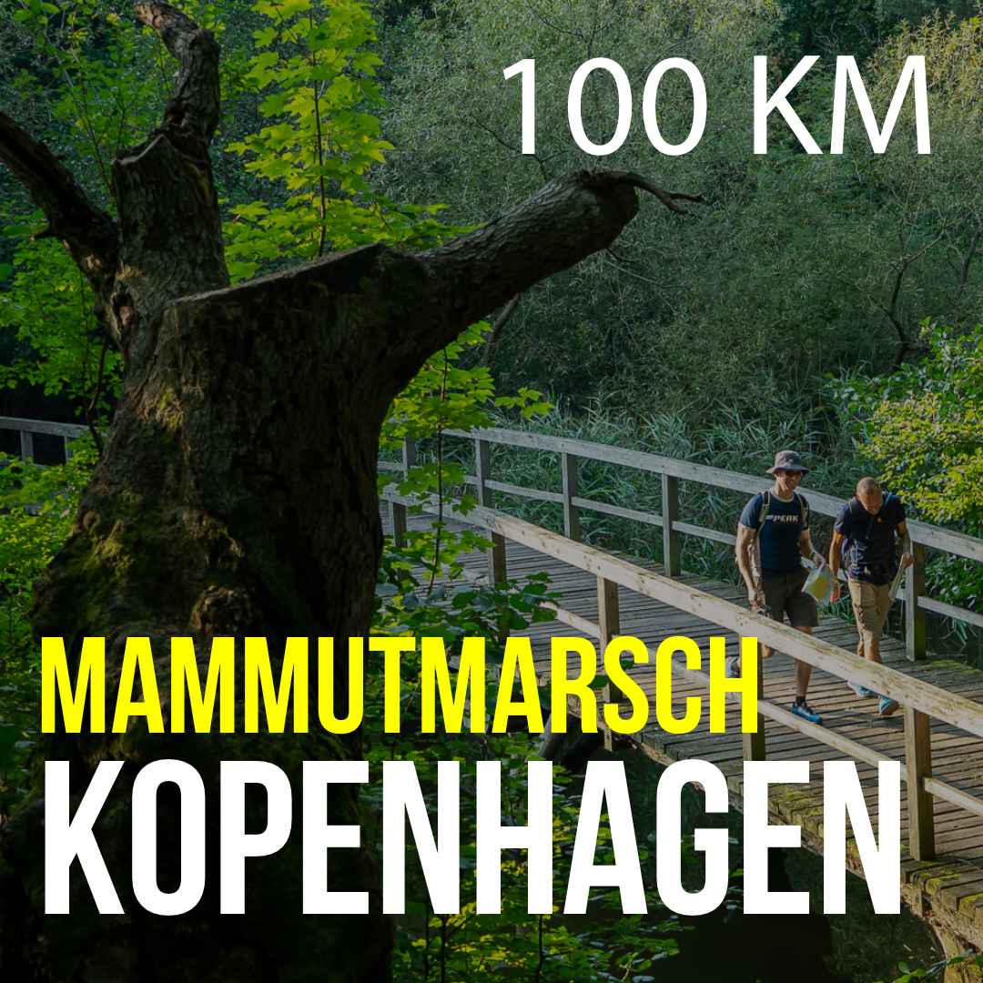 KPH_100
