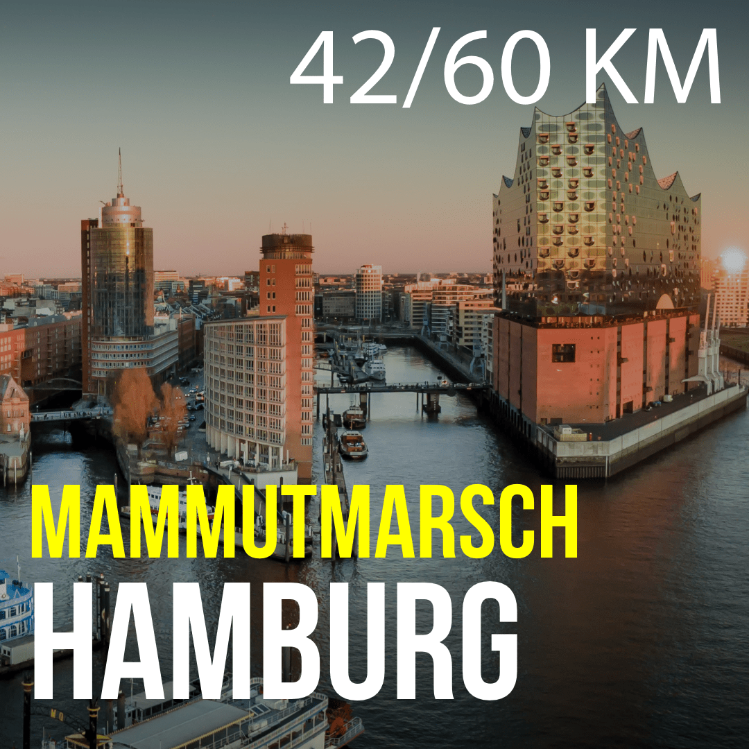 HAM_neu – 2