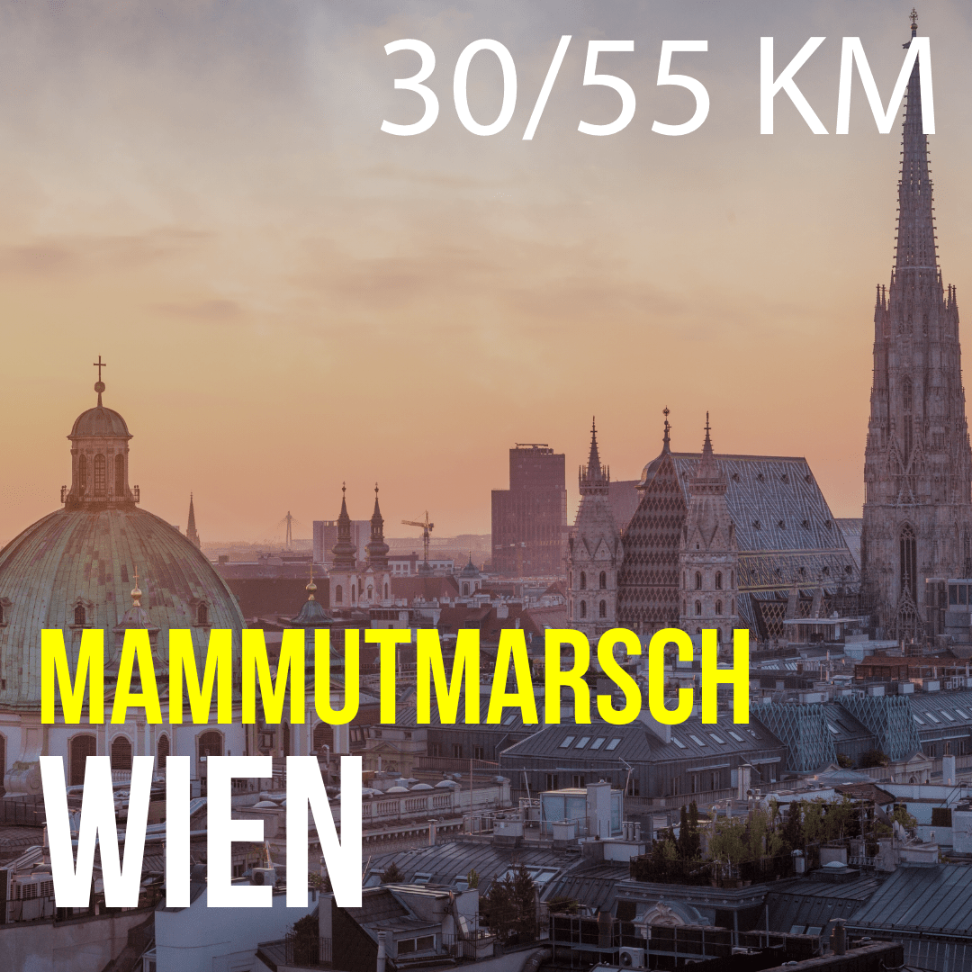 WIEN_neu – 3
