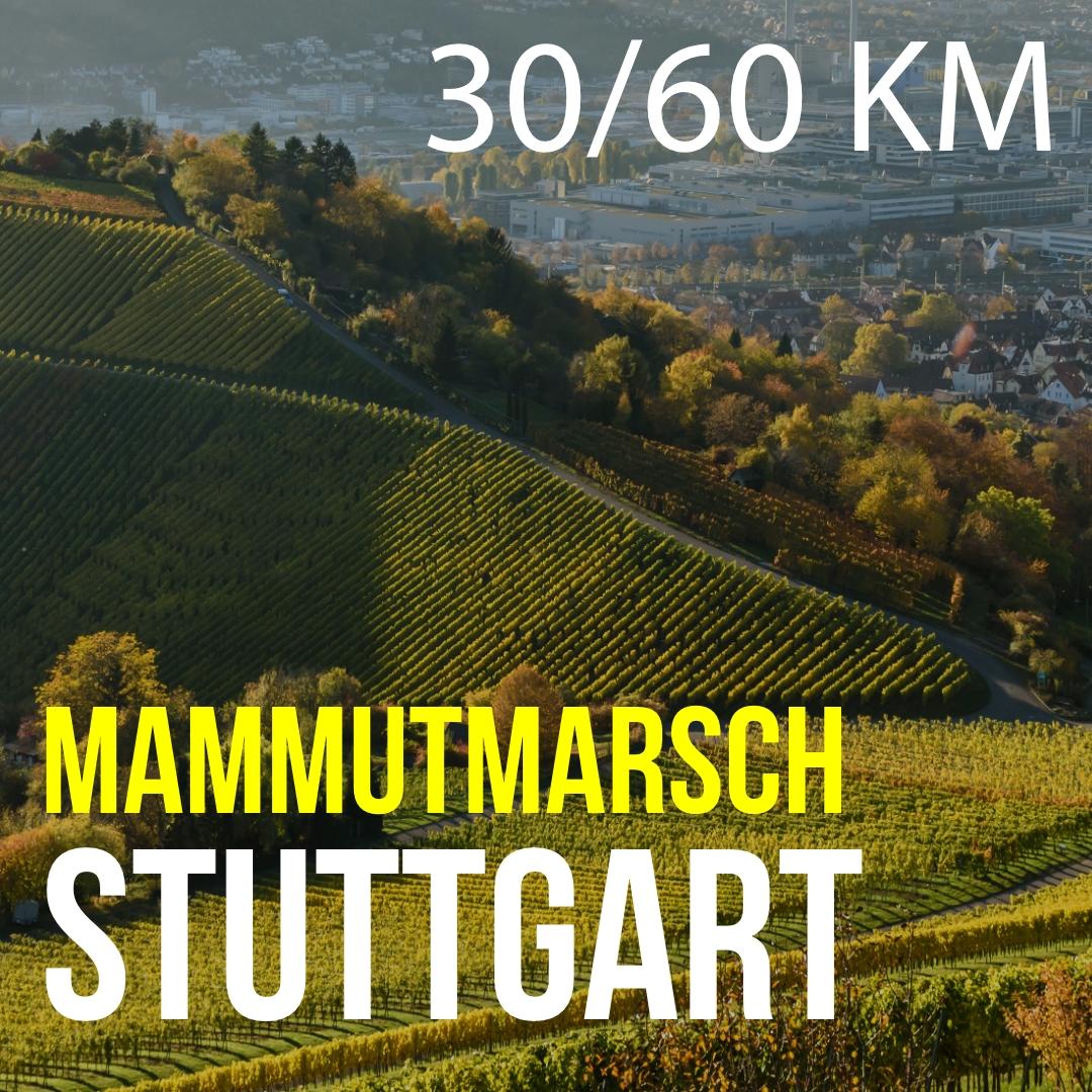 STGT_neu