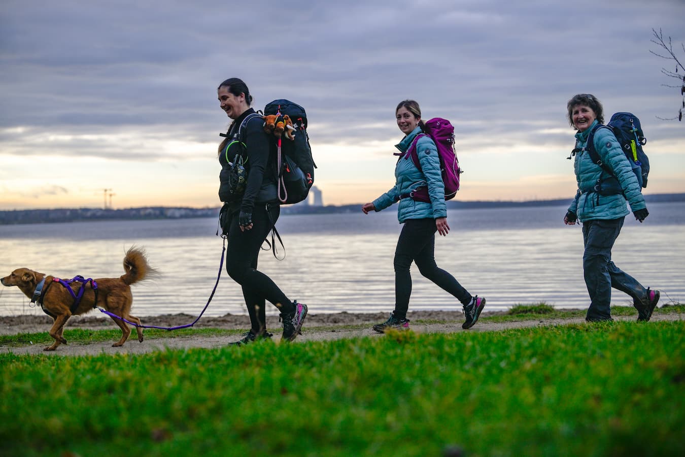 drei-frauen-mit-wanderrucksack-und-ein-hund