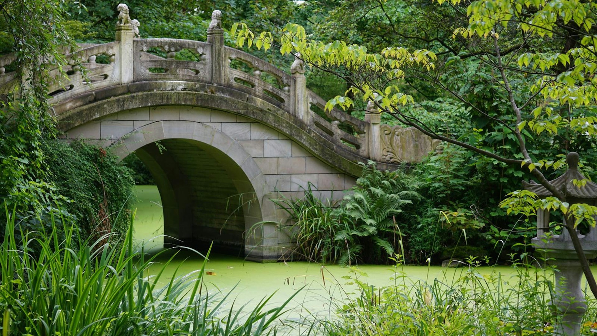 Japanische Brücke in Duisburg: Ein geeigneter Ort im Ruhrgebiet zum Wandern