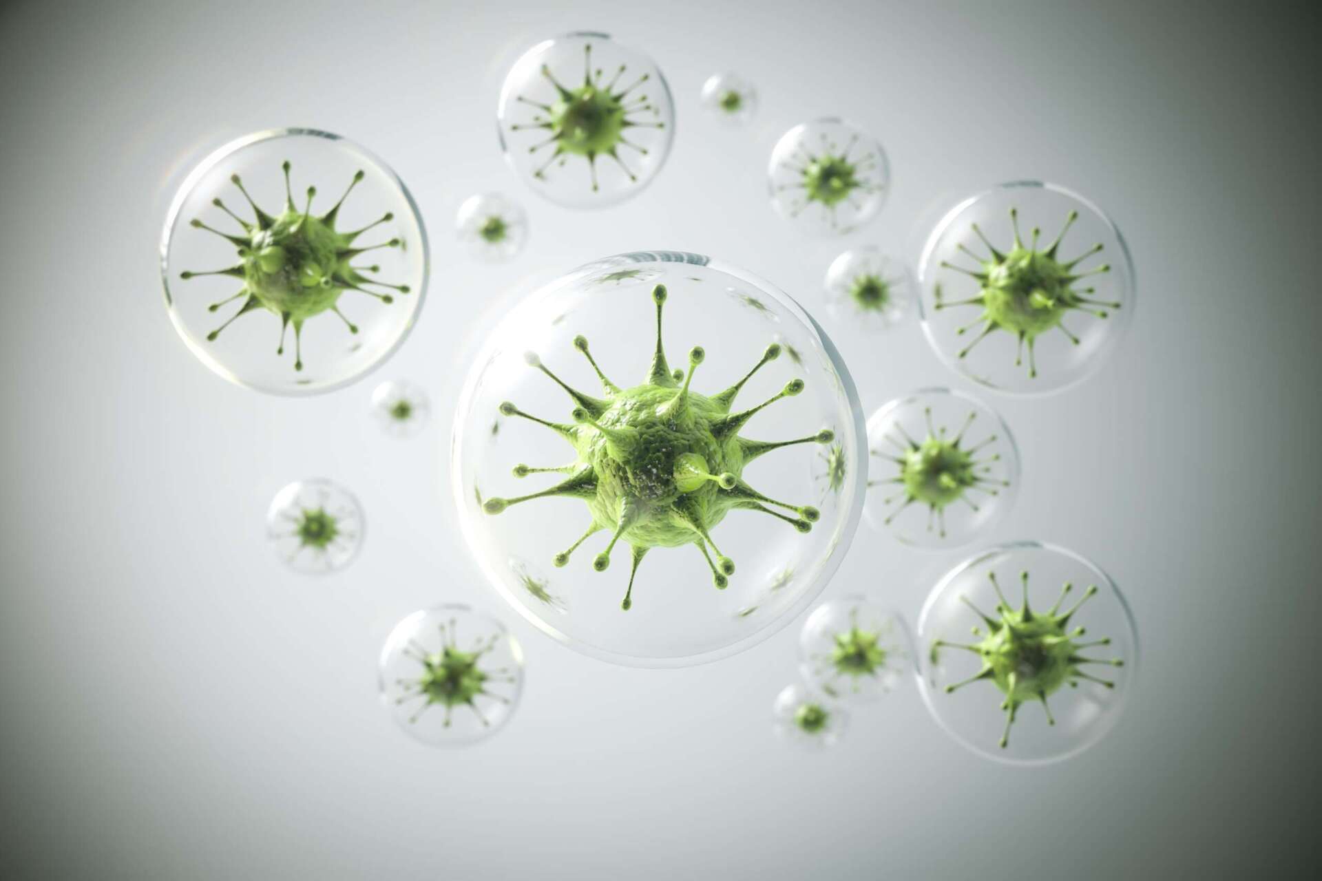 Immunsystem stärken: Das Bild zeigt Viruszellen/Krankheitserreger.