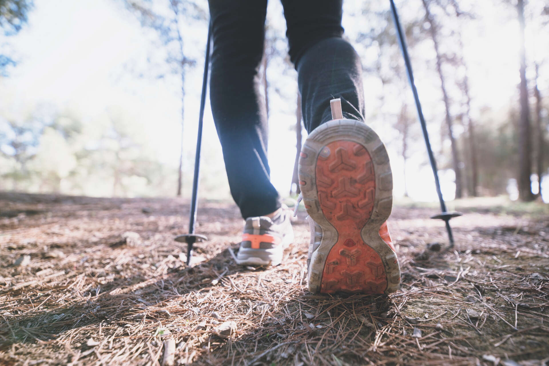 Wanderung in Thüringen: Auf Strecken mit Höhenmetern sind Wanderstöcke sinnvoll.