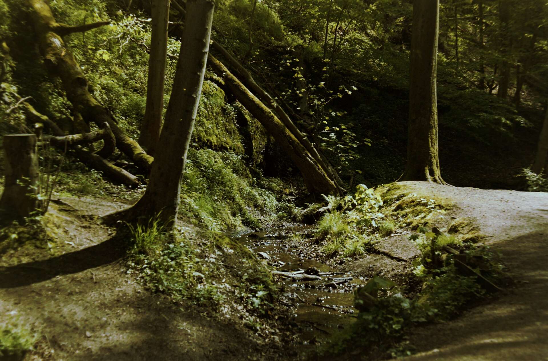 Wanderung in Thüringen: Das Bild zeigt die Drachenschlucht in Eisenach.