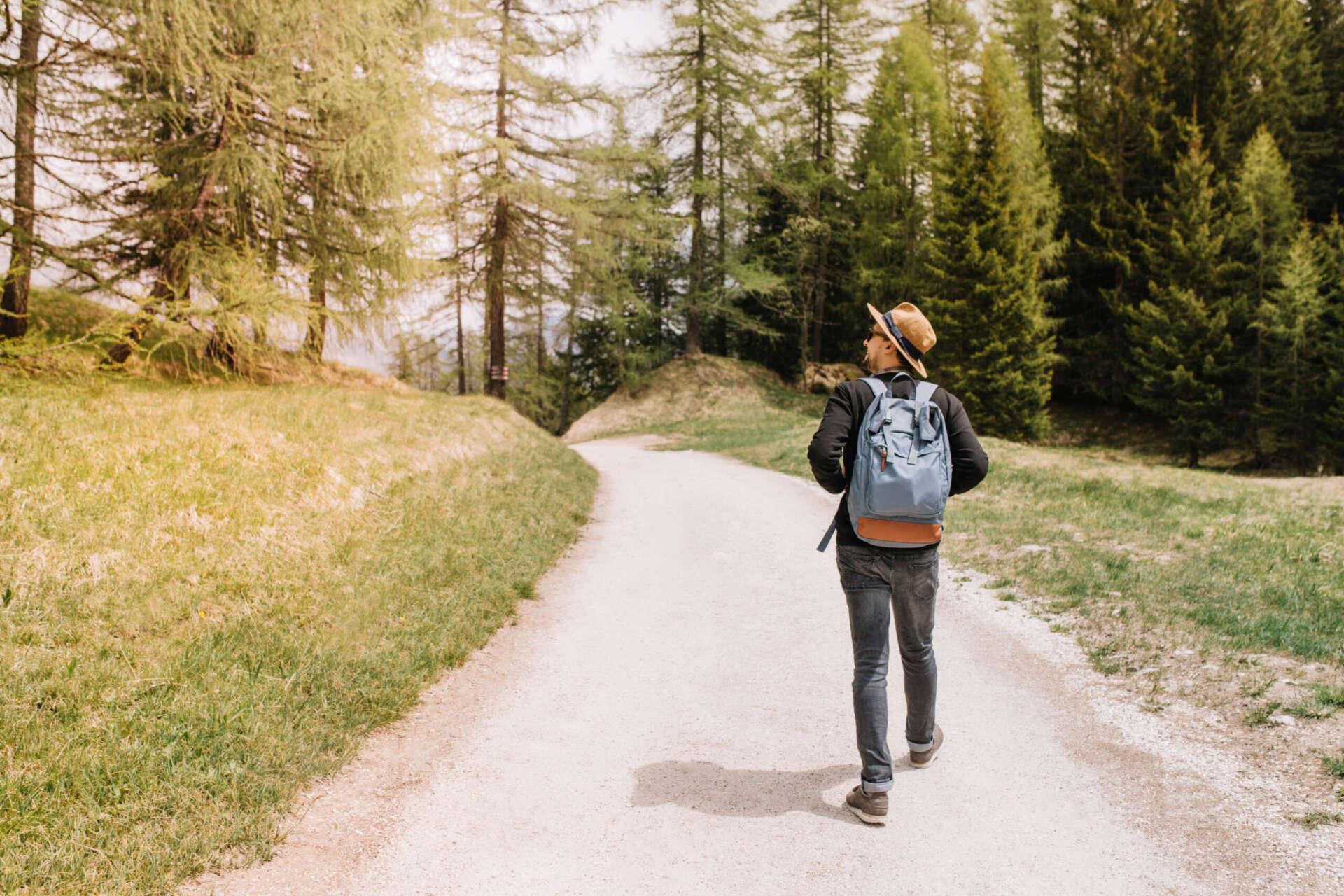 Ein Mann in Rückenansicht beim Wandern