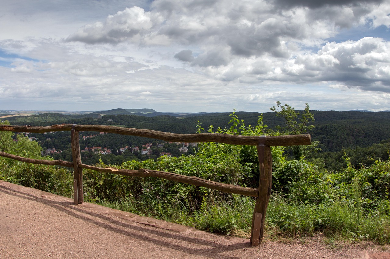 Ein rustikaler Holzzaun säumt einen unbefestigten Weg mit Blick auf einen großen grünen Wald und ferne Hügel unter einem teilweise bewölkten Himmel.