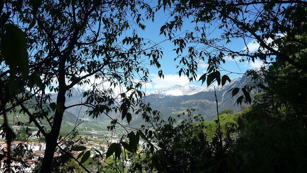 Durch dichtes Blattwerk fällt der Blick auf ein Tal mit Stadt und schneebedeckten Bergen unter blauem Himmel.