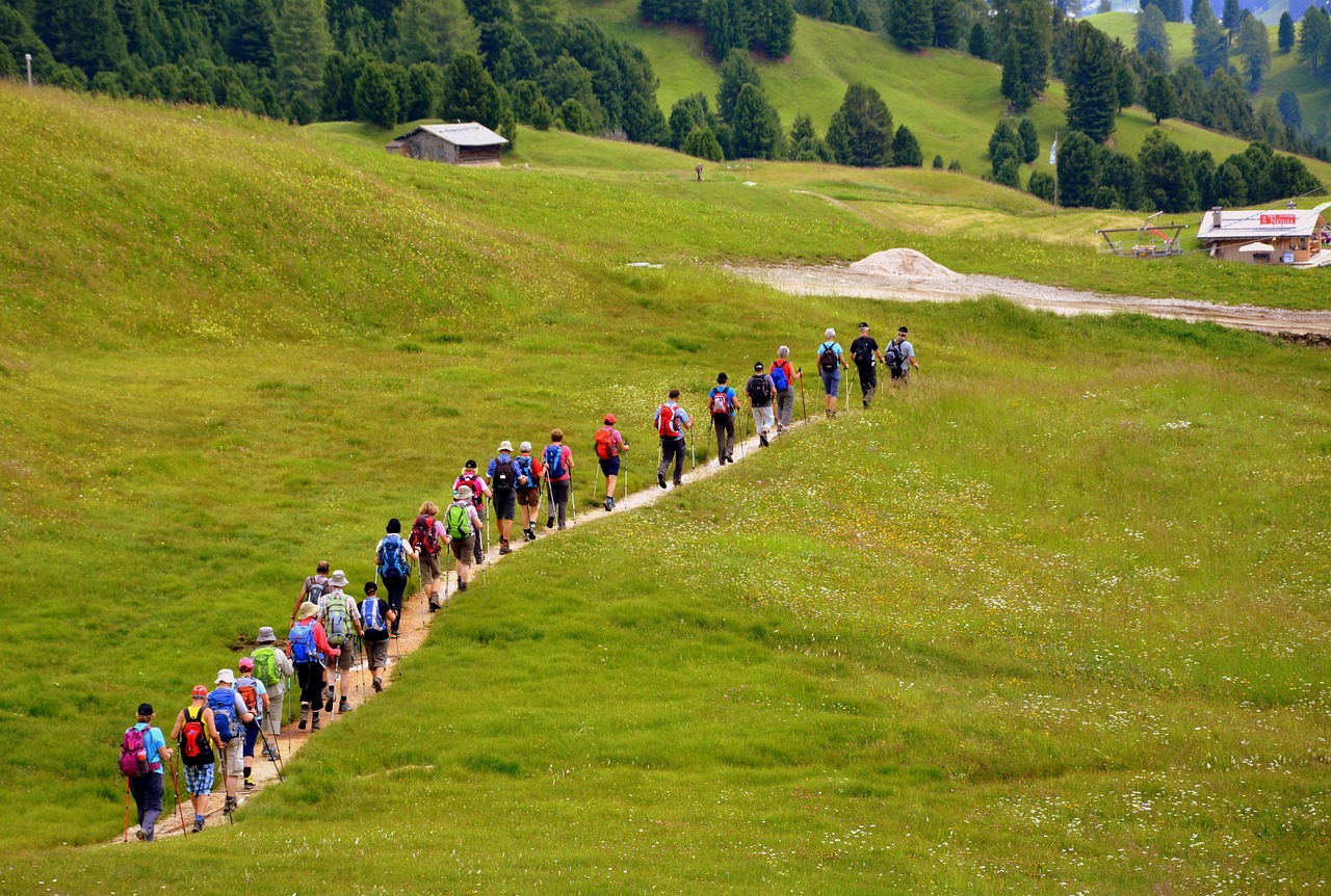 Wandern im Sommer: Eine Gruppe Wanderer wandert in einer Reihe über eine Wiese.