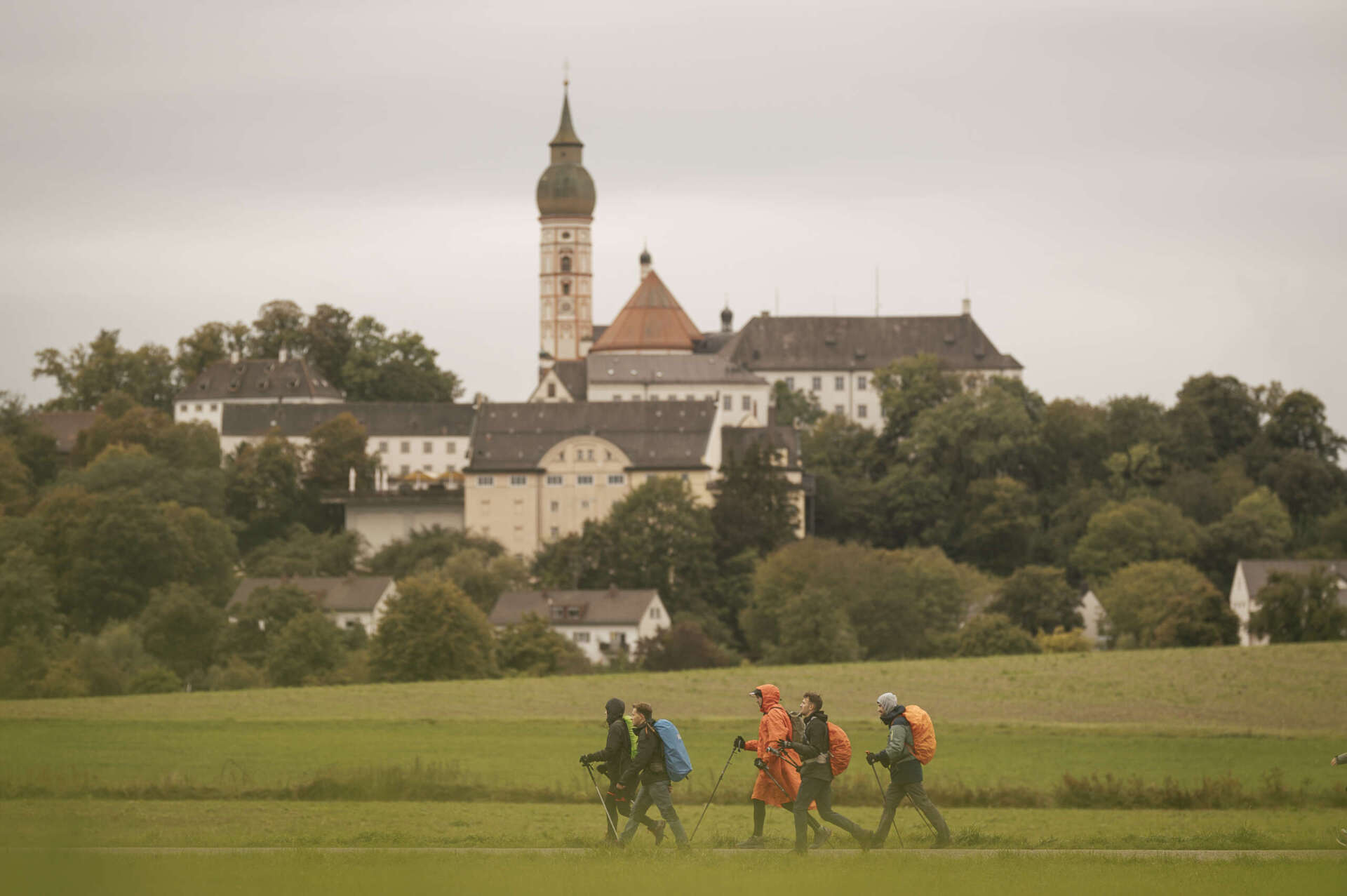 Das Bild zeigt Wanderer beim Mammutmarsch, die mit Wanderstöcken unterwegs sind.