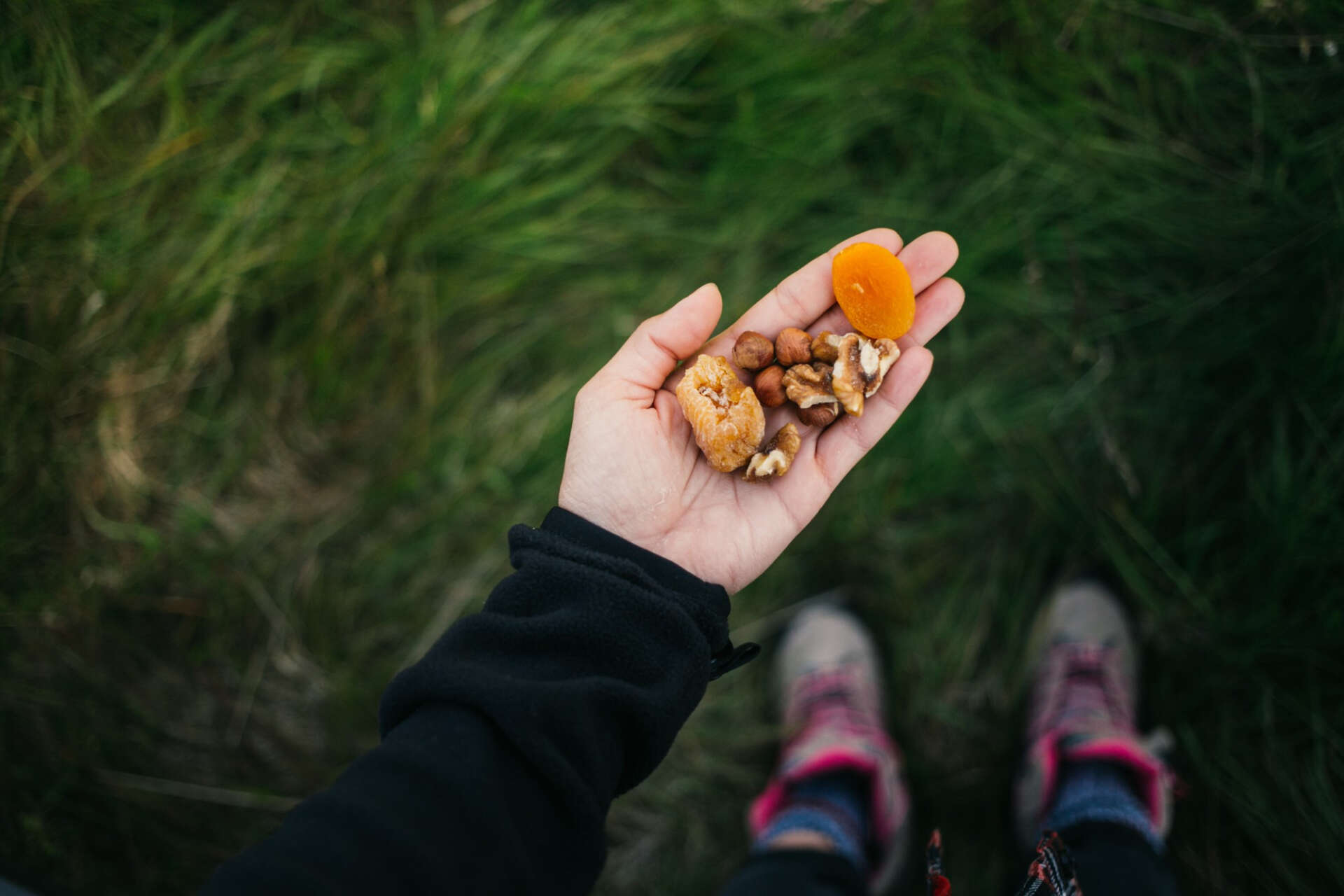 Eine Person hat Snacks (Trockenfrüchte und Nüsse) in der Hand: Die richtige Verpflegung beim Wandern!