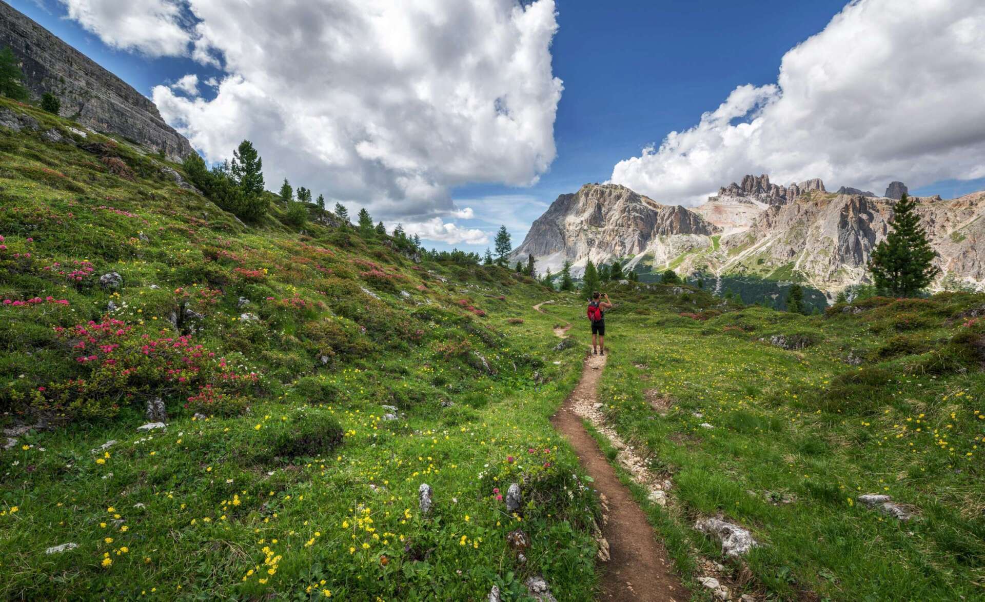 Ein Mann wandert durch eine wunderschöne, grüne Landschaft. Wie viele km eignen sich für Anfänger?