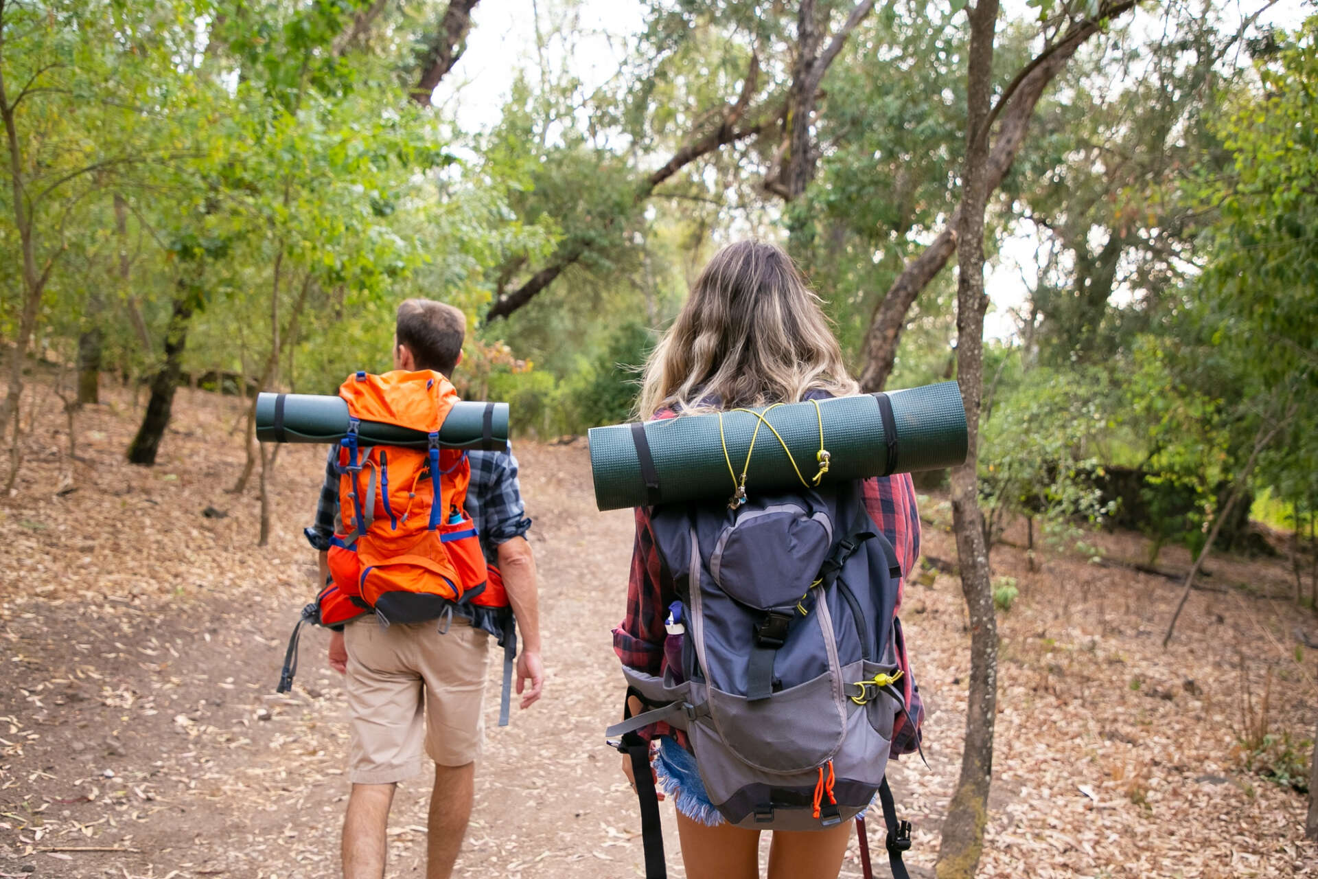Mehrtägige Wandertour durch den Wald: Wann ist es besser, auf Wanderstöcke zu verzichten?
