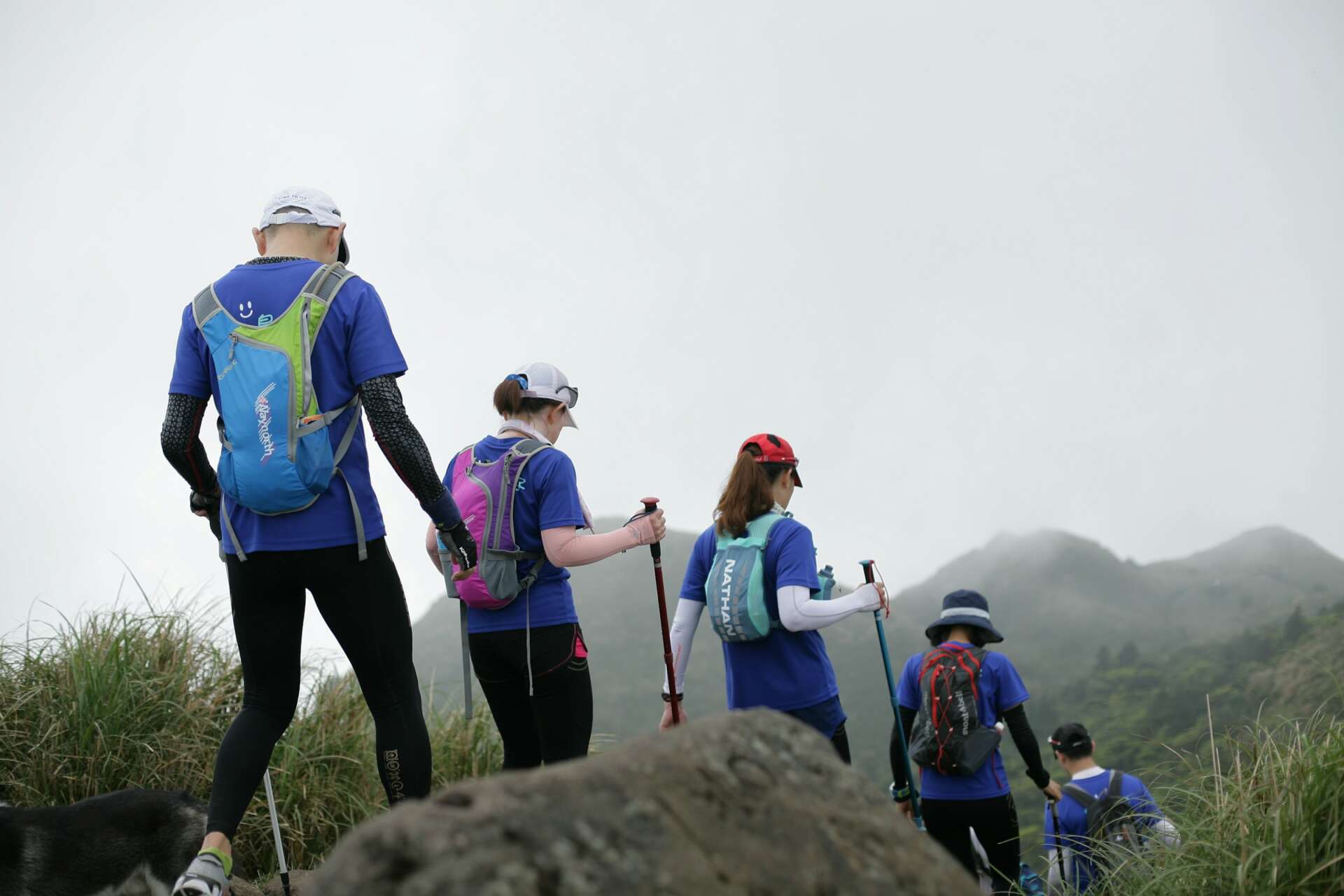 Gemeinsam durch die Natur mit Single-Wandergruppen: Junge Menschen beim Trail