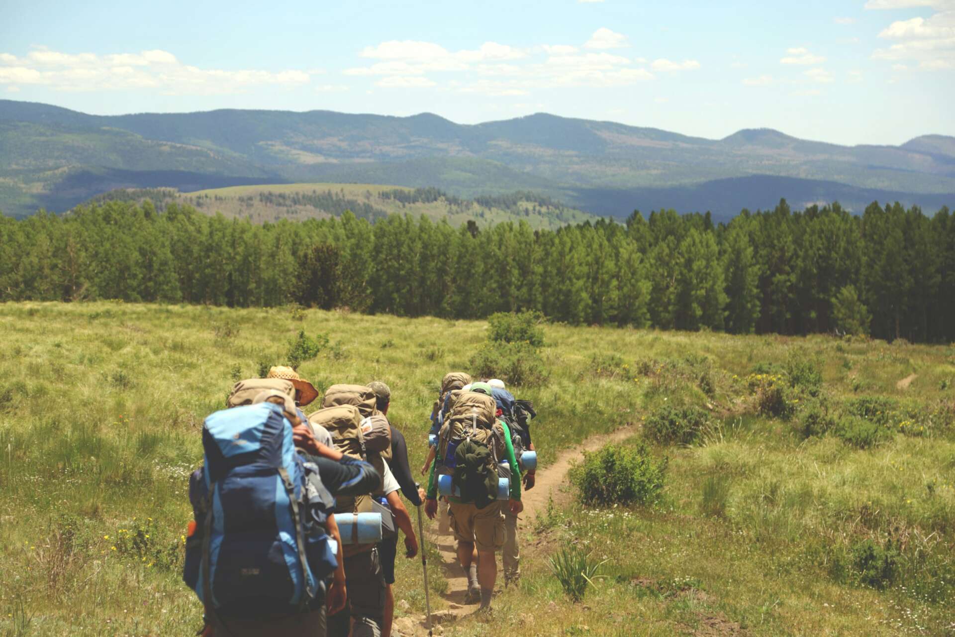 Single-Wandergruppen: Ideal, um Kontakte zu knüpfen und Freundschaften oder Beziehungen aufzubauen. 