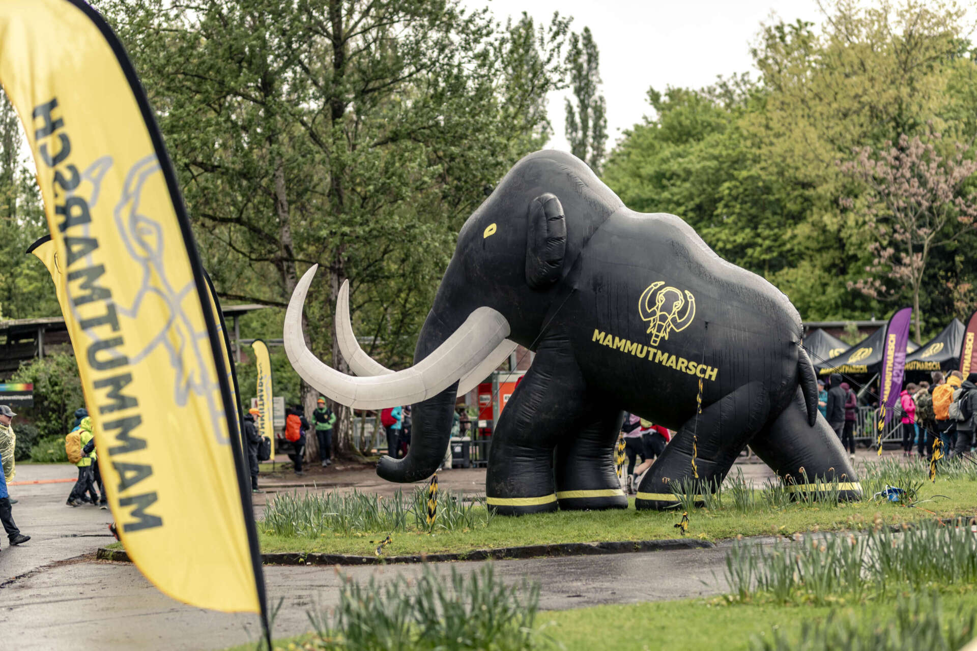 Regen beim Mammutmarsch: Hier lohnen sich wasserdichte Wanderschuhe.