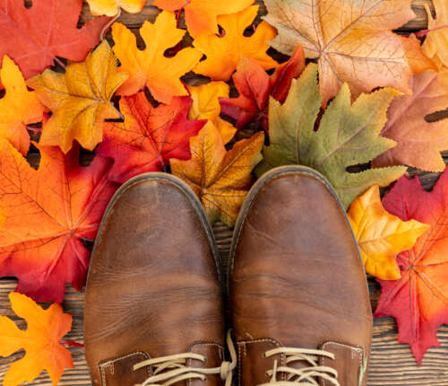 Wanderschuhe mit Leder – robust, langlebig und komfortabel unterwegs