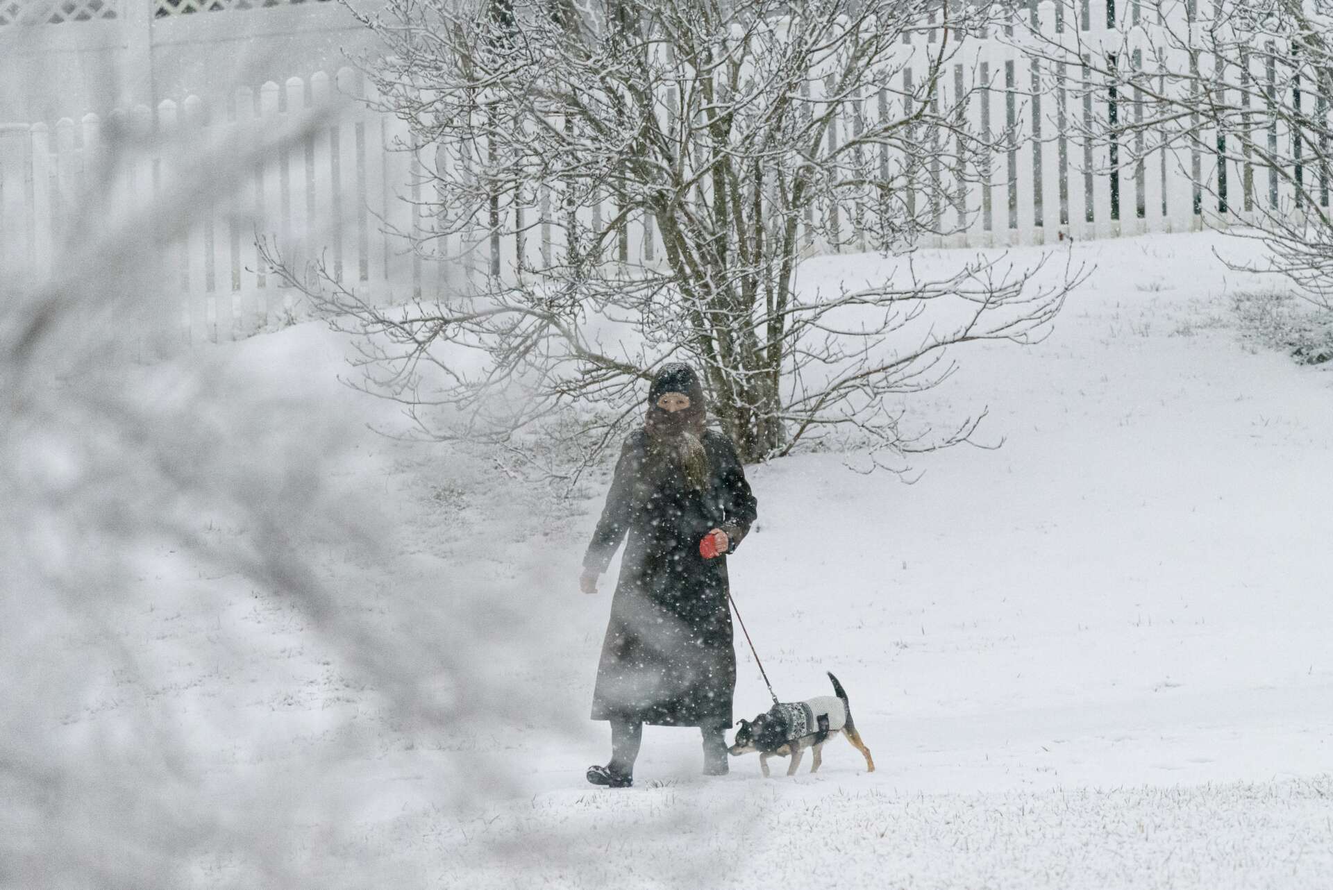 Frau beim Wandern im Schnee bei Minusgraden mit Hund