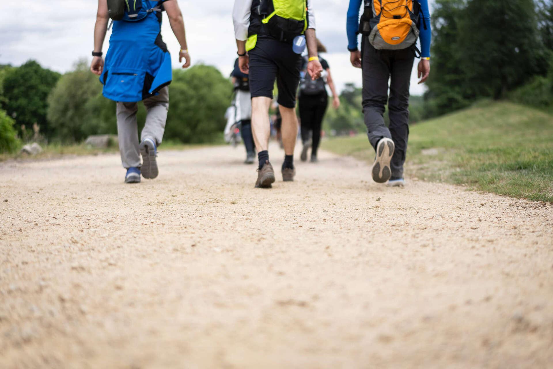 Mehrere Wanderer trainieren mit Rucksack auf einem Schotterweg