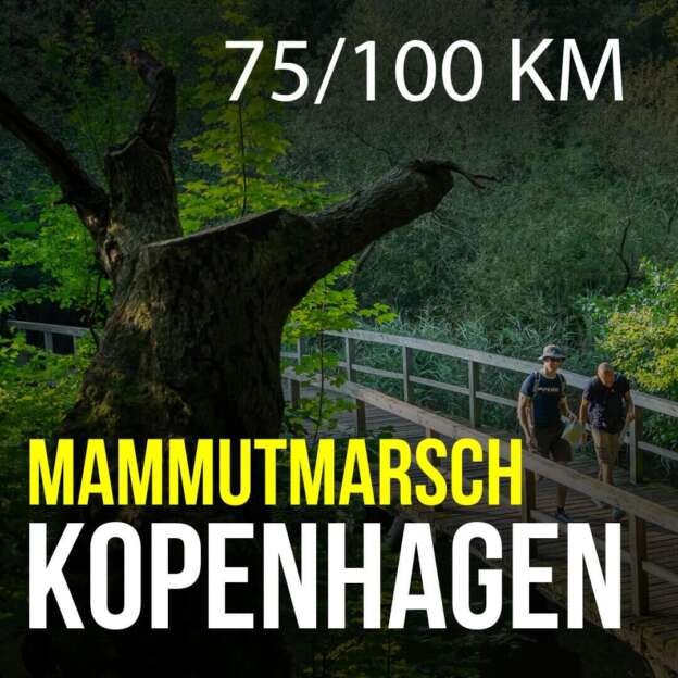 Mammutmarsch Kopenhagen 75/100 km 2026