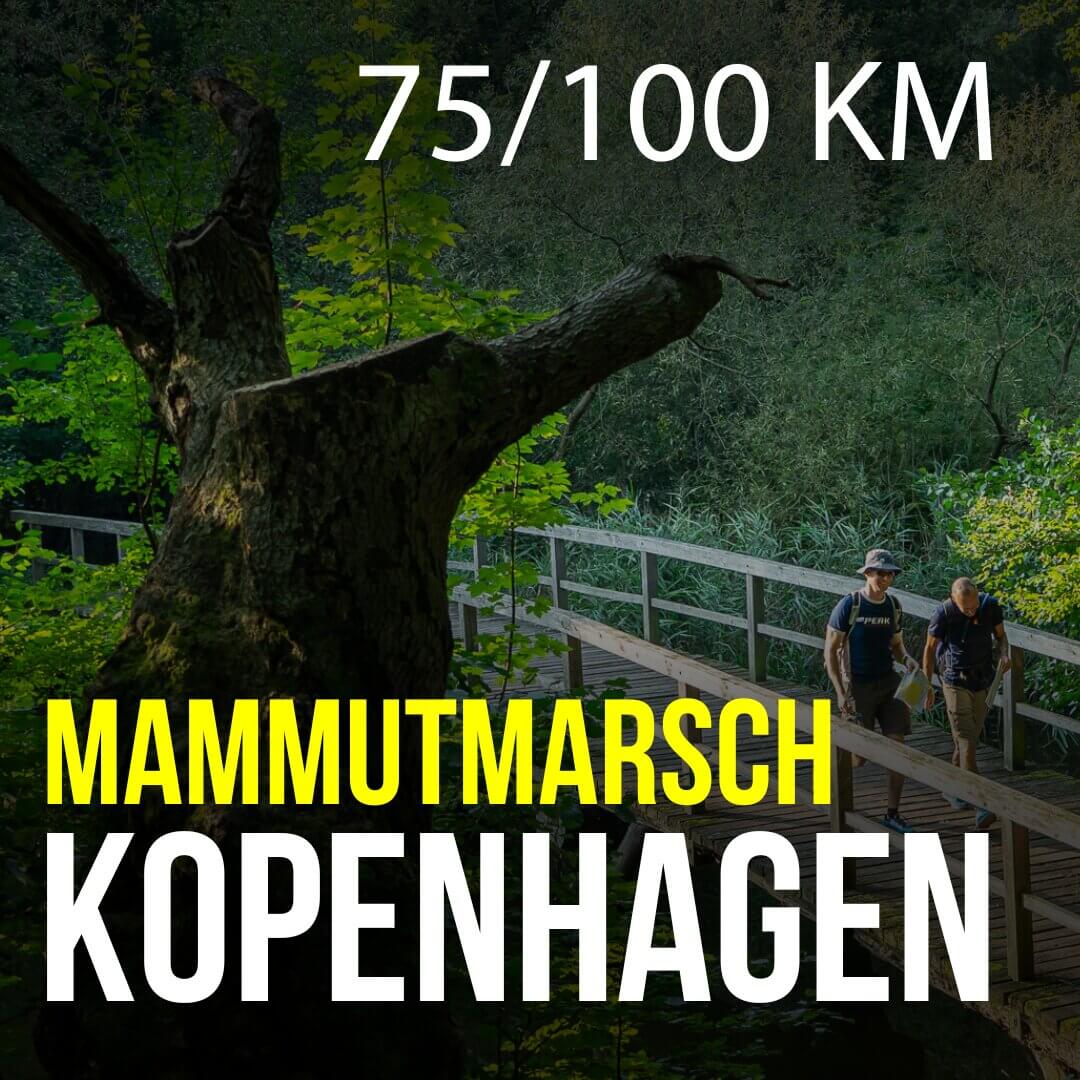 Mammutmarsch Kopenhagen - 75/100 KM