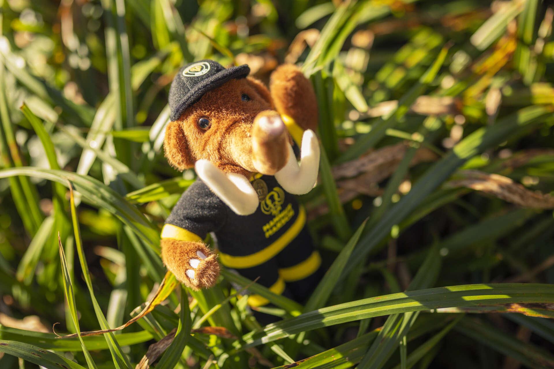 Mammutmarsch Plüsch-Mammut Malia