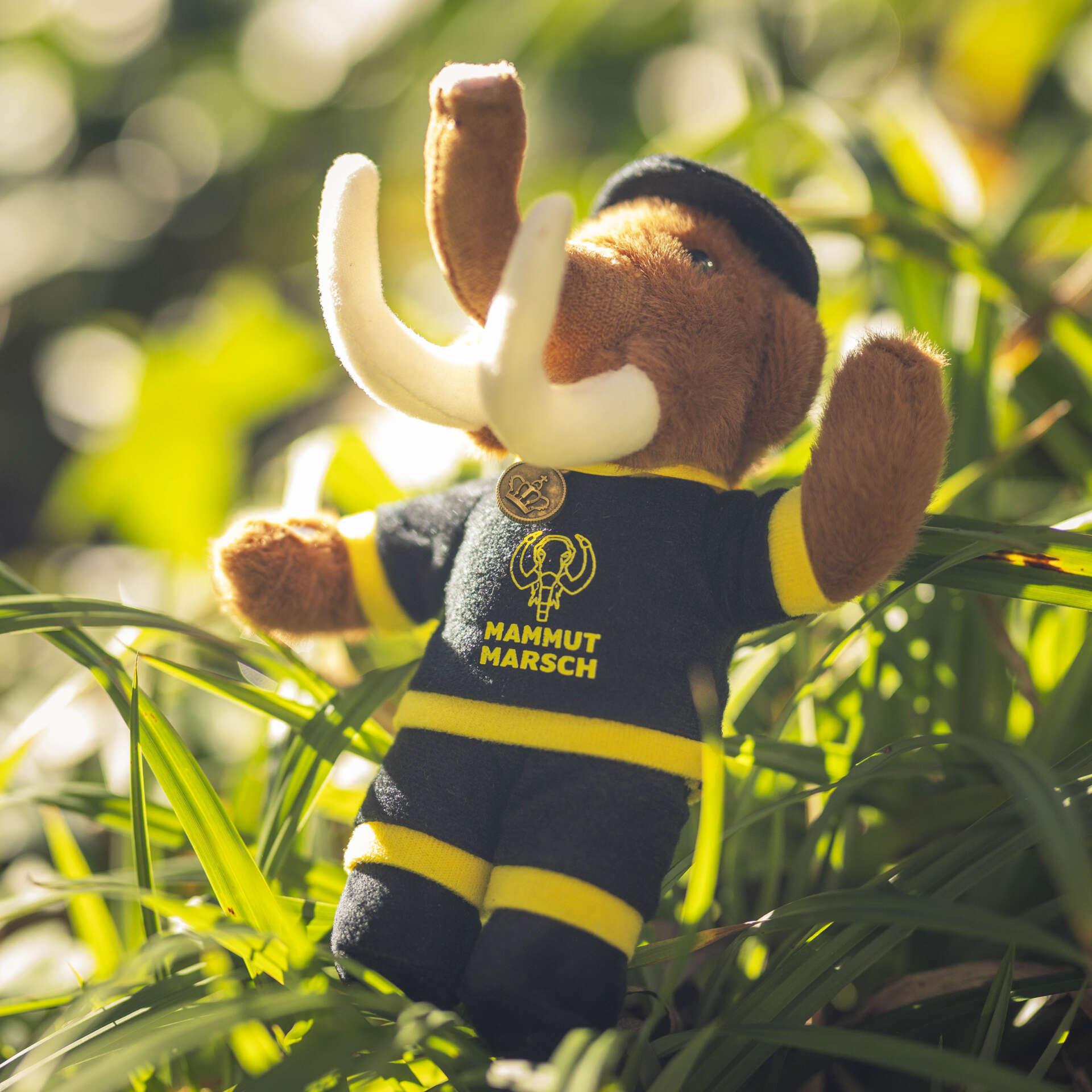 Mammutmarsch Plüsch-Mammut Malia – Bild 2