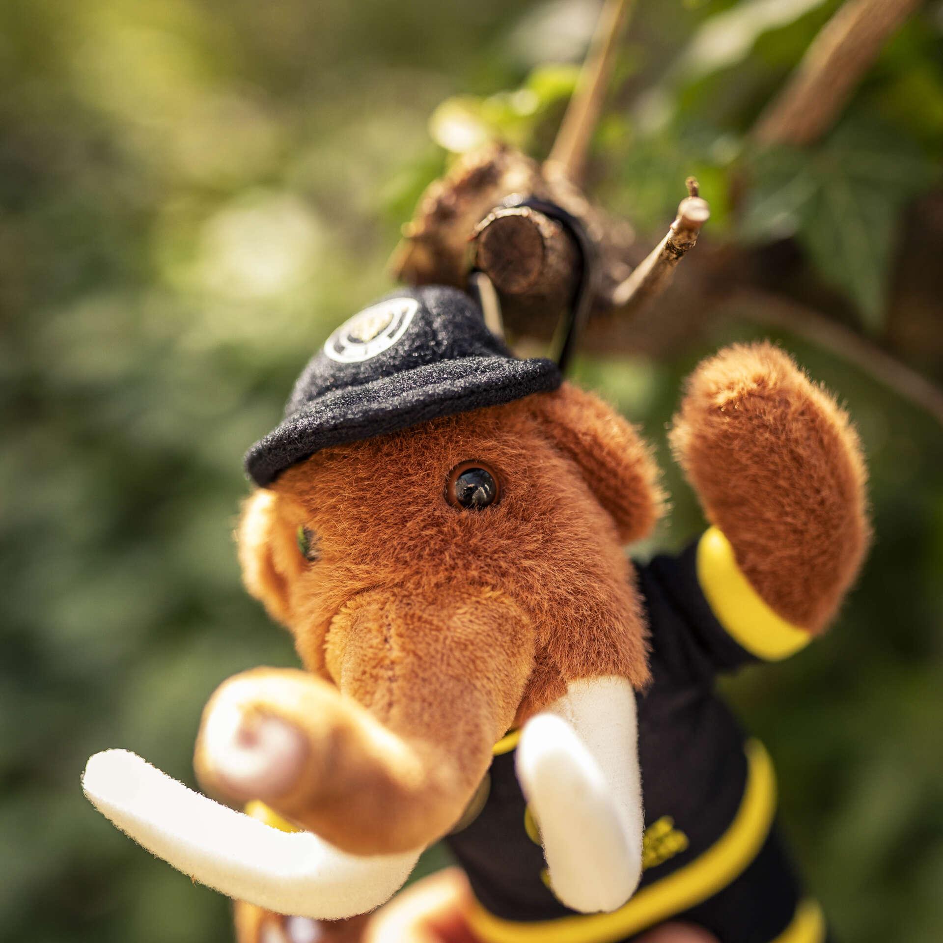 Mammutmarsch Plüsch-Mammut Malia – Bild 4