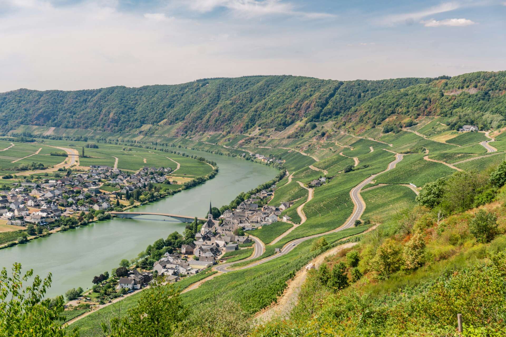Rheinsteig wandern mit Blick auf Moselschleife, Weinberge und Dorf im Tal