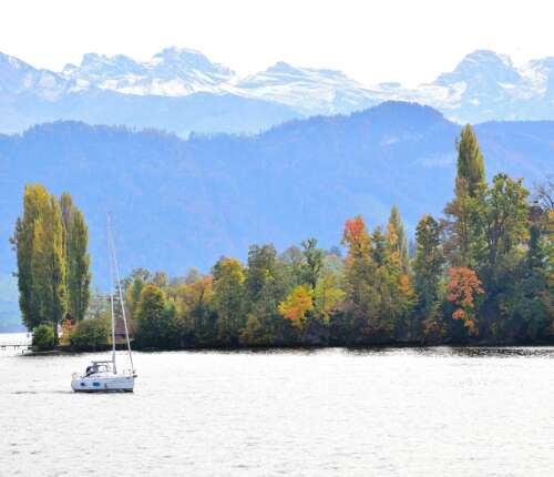 Vierwaldstättersee mit Segelboot und herbstlicher Landschaft vor Alpenpanorama