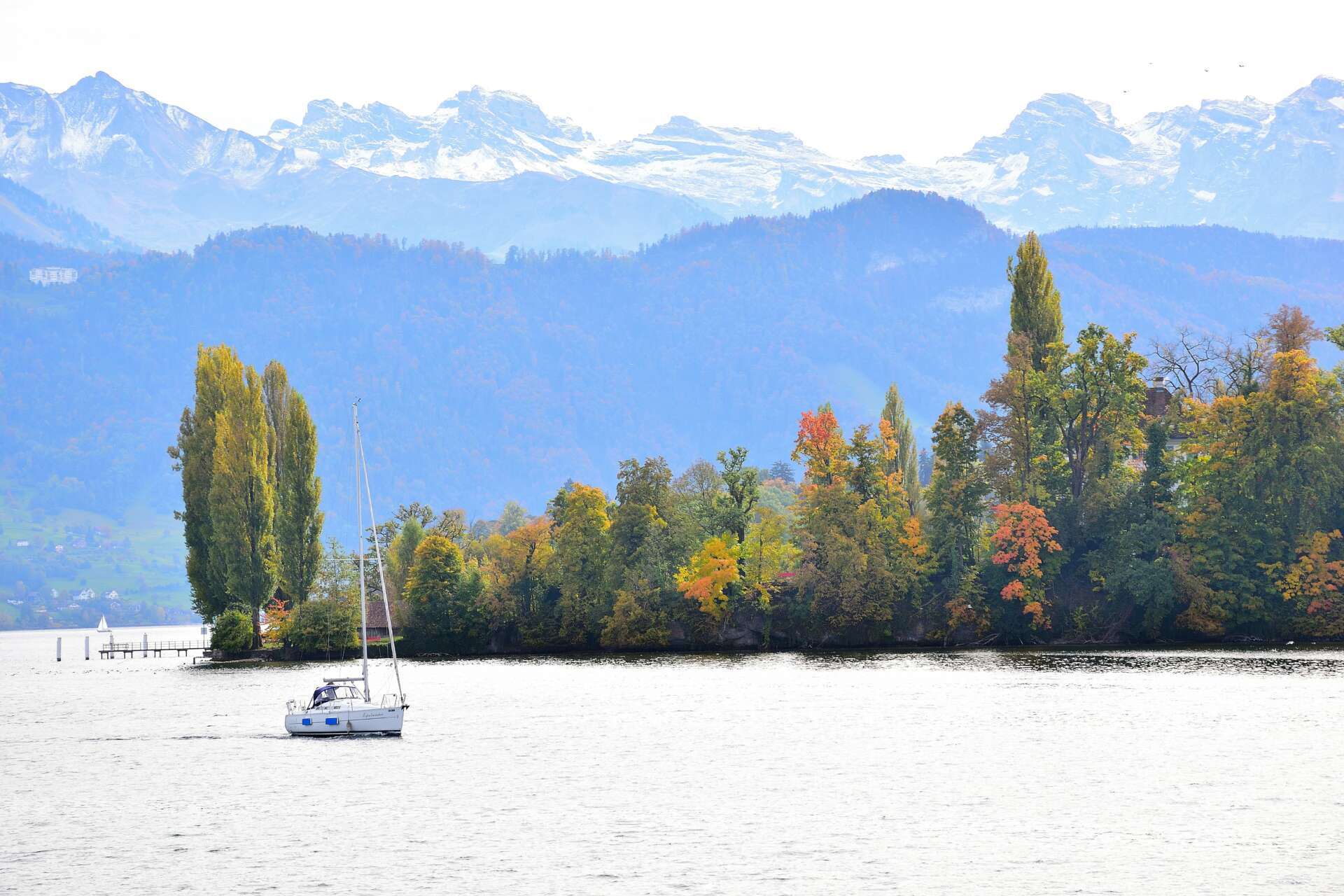 Vierwaldstättersee mit Segelboot und herbstlicher Landschaft vor Alpenpanorama