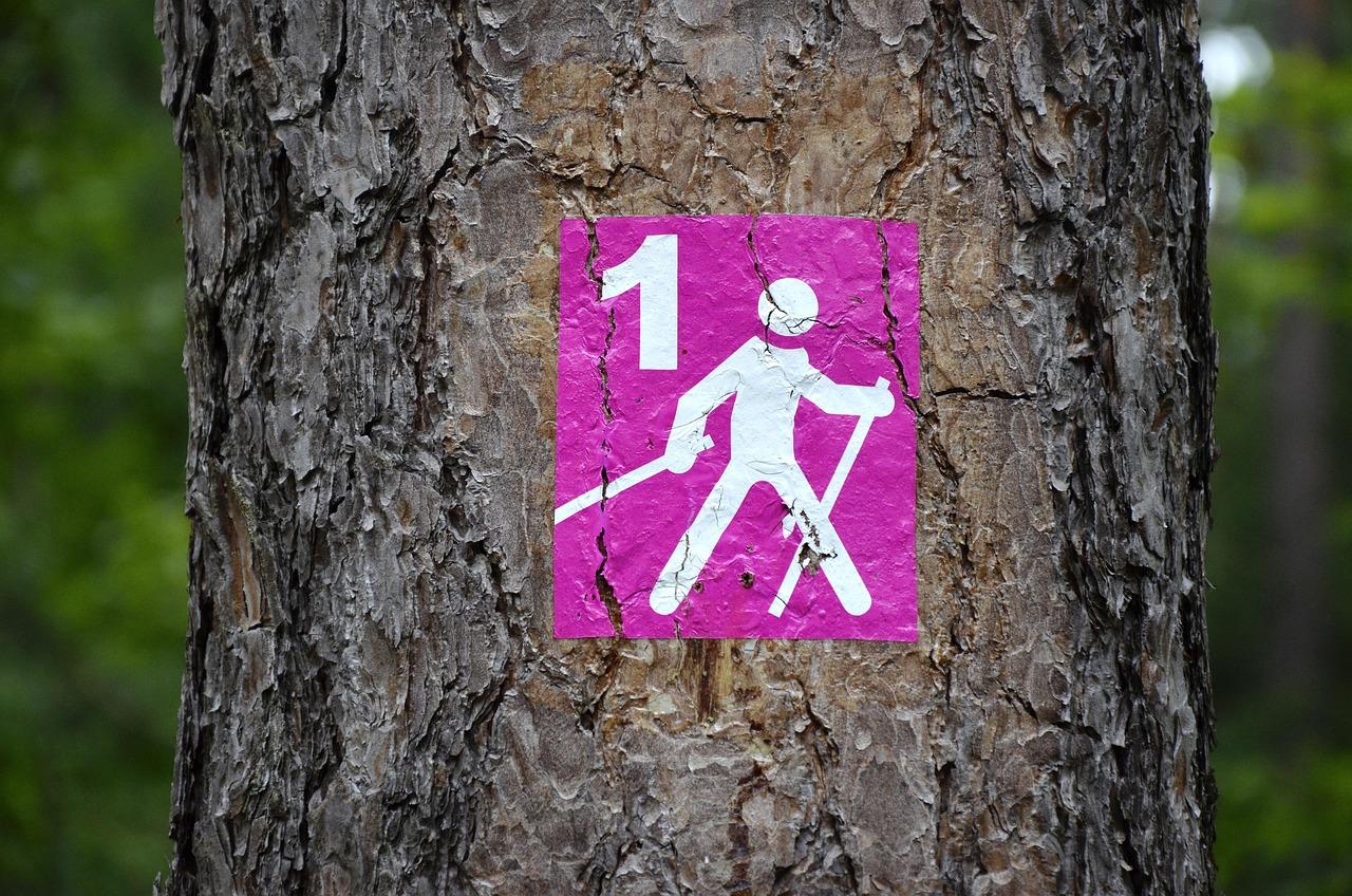 Wegmarkierung für Nordic Walking an einem Baum im Wald