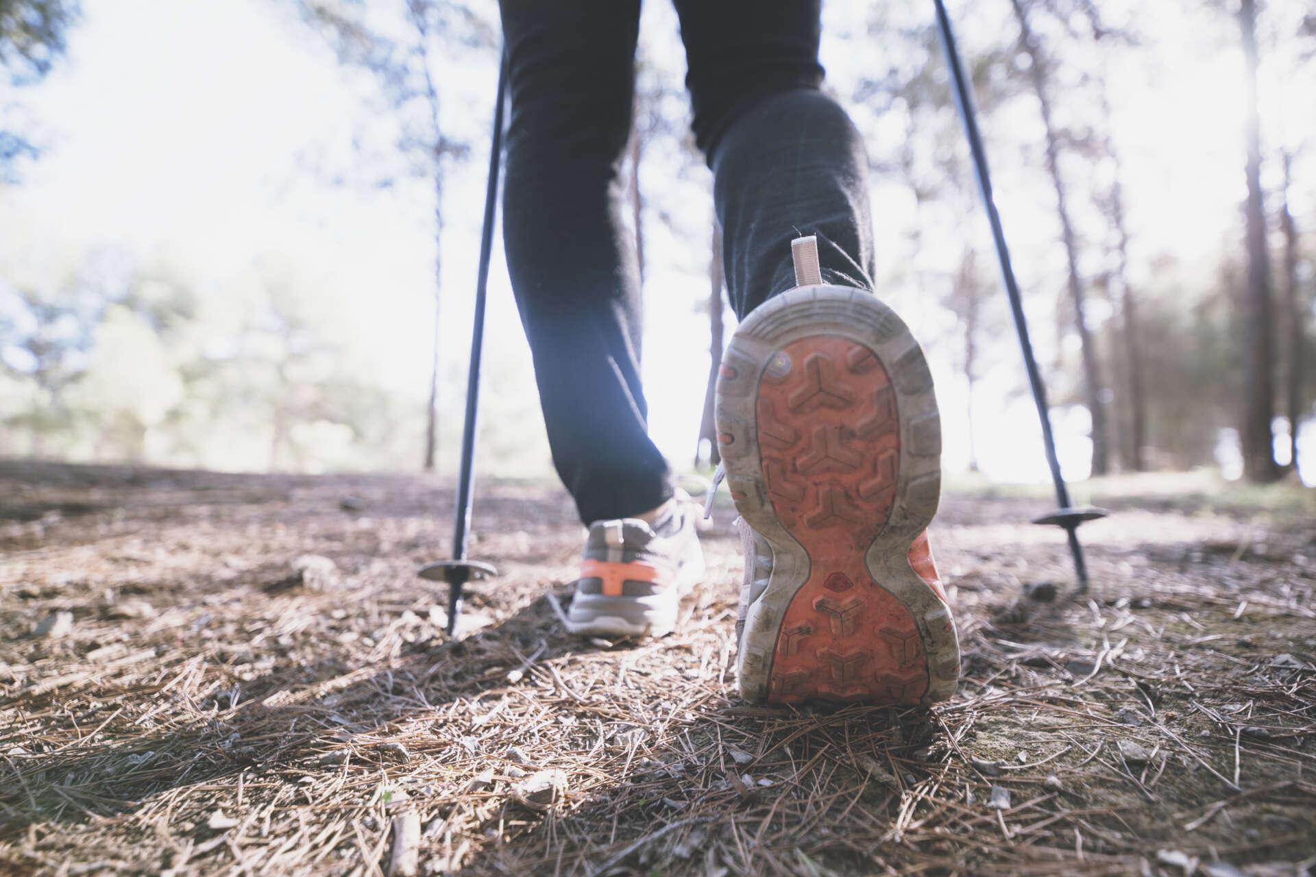 Nordic Walking auf einem Waldweg mit passenden Walking-Schuhen