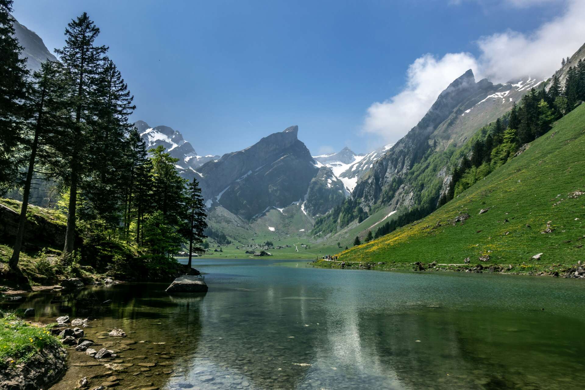 Alpiner Bergsee mit klarem Wasser, grünen Wiesen und schneebedeckten Gipfeln in den Schweizer Alpen.