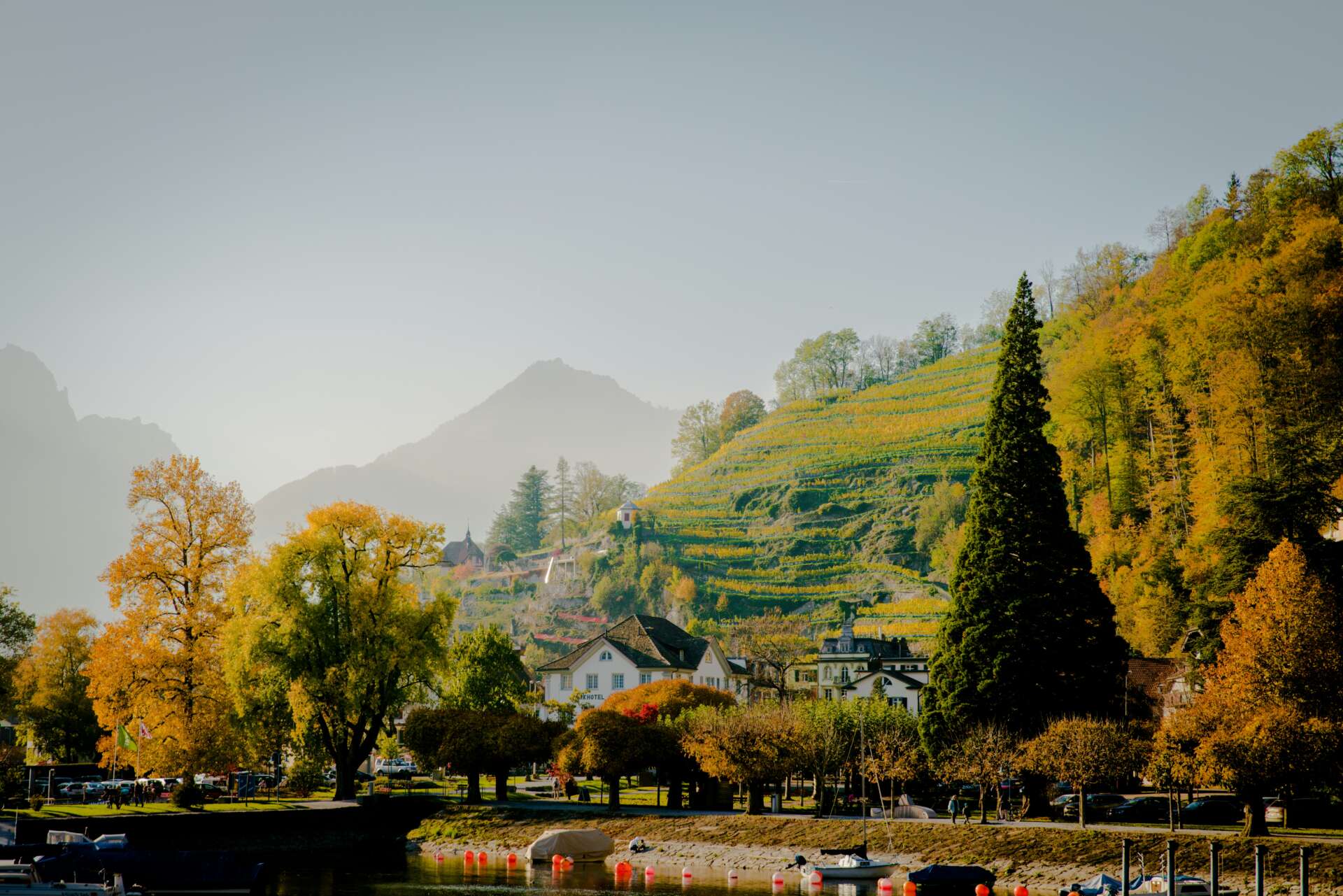 Blick auf Weesen am Walensee mit Weinbergen, herbstlich gefärbten Bäumen und dem Hafen im Vordergrund.