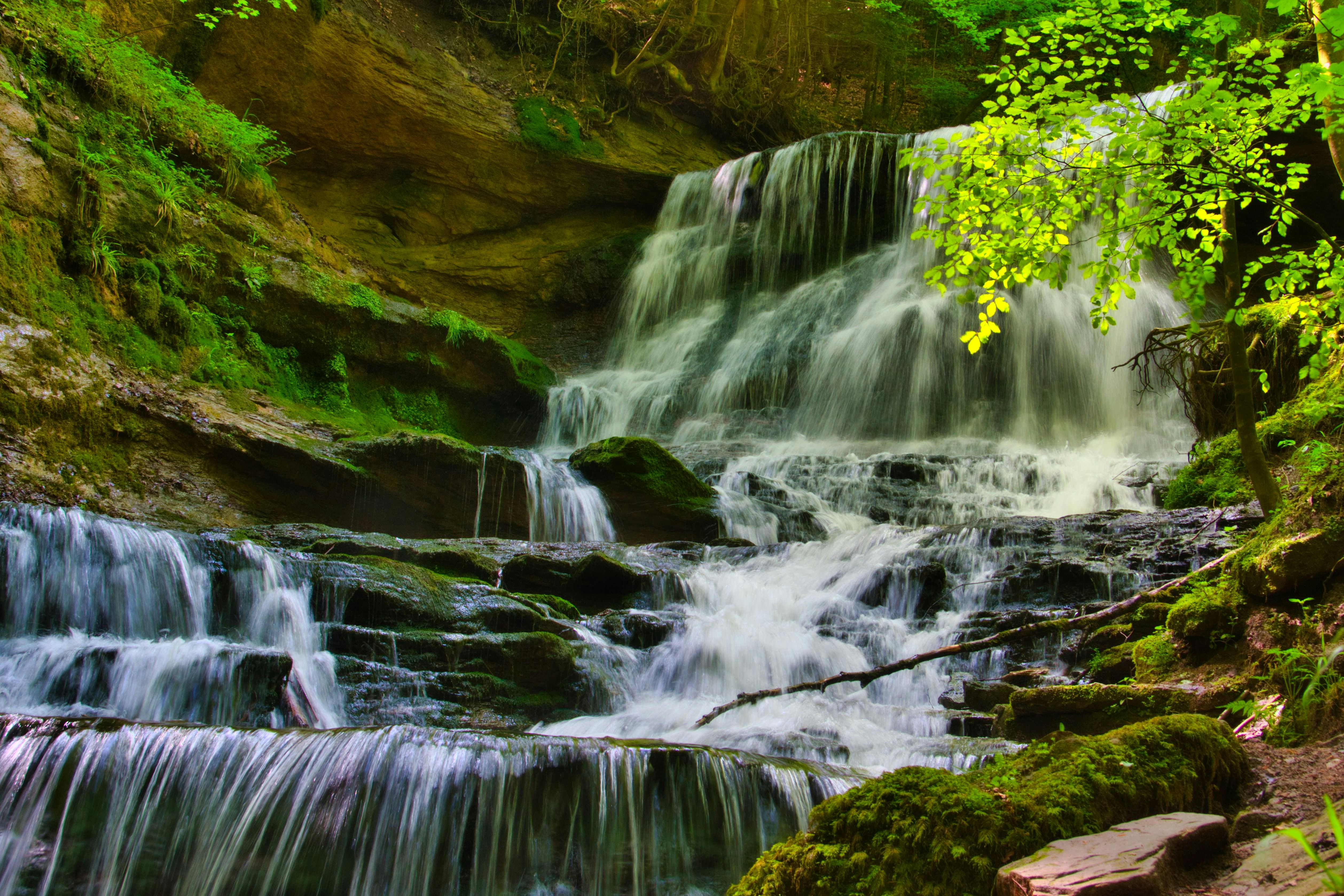 Wasserfall im Wald in der Vulkaneifel in Rheinland-Pfalz