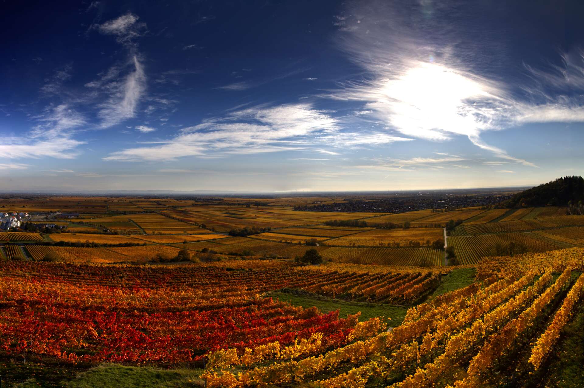 Herbstliche Weinberge in Rheinland-Pfalz mit Blick über die Landschaft